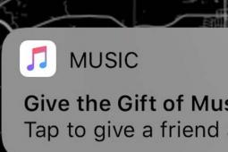 Apple允许Apple Music订阅者向朋友赠送一个月的免费服务