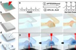 新的3D纳米打印策略为医学 机器人技术的革命打开了大门