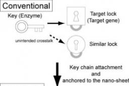 自主基因表达控制nanodevice将有助于医疗保健