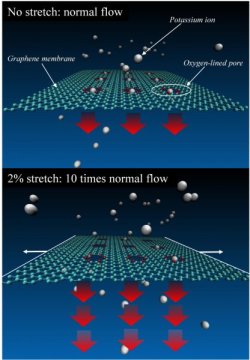 模拟表明石墨烯可以拉伸成可调谐离子过滤器