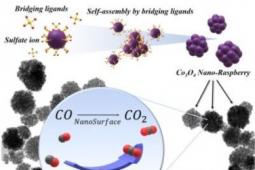 可持续的纳米覆盆子中和有毒的一氧化碳