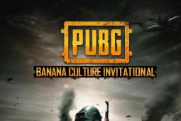 印度的PUBG玩家因玩游戏而被捕