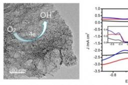 为ORR开发的新型电催化剂