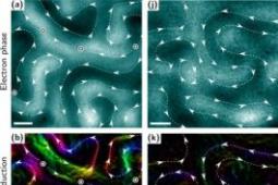科学家在无序的磁性材料中找到有序的磁性图案