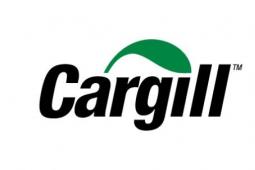 Cargill Heiferaim通过后院家禽提高1亿营养安全性