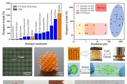 水凝胶显示出前所未有的可拉伸性3D打印能力