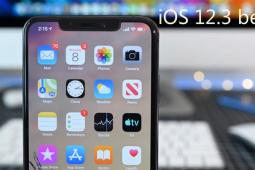 iOS 12.3代码提示支持更多形式的公共交通