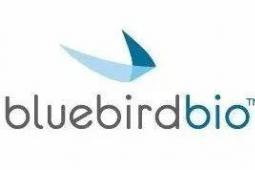 Bluebird Bio首席执行官以180万美元的价格为基因疗法辩护