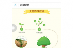 介绍蚂蚁森林种树有什么用及支付宝蚂蚁森林在哪