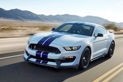 福特首发Shelby GT350野马