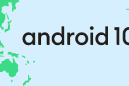 Google支持代理确认Pixel设备的Android 10发布日期