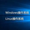 谷歌一直在努力使其成为Windows和Linux发行版的真正竞争对手