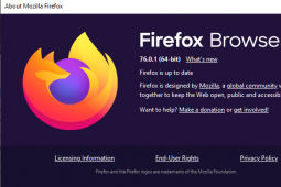 Firefox7601修复了Windows崩溃和扩展中的错误