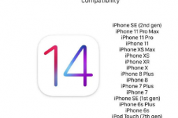 外媒曝出一份据说是iOS 14适配机型的表格