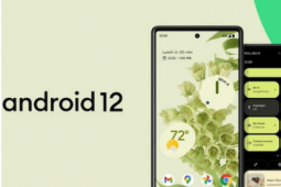 Android12发布谁先得到它