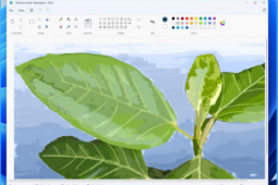 Windows11微软Paint向Insiders推出一项新功能