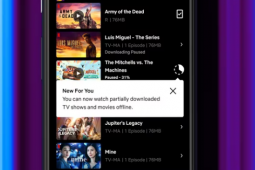 Netflix将让Android用户流式传输未完成的下载