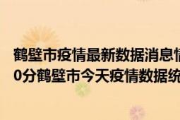 鹤壁市疫情最新数据消息情况-(北京时间)截至5月2日20时00分鹤壁市今天疫情数据统计通报