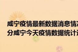 咸宁疫情最新数据消息情况-(北京时间)截至5月3日03时31分咸宁今天疫情数据统计通报