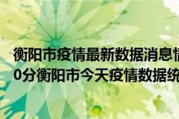 衡阳市疫情最新数据消息情况-(北京时间)截至5月6日01时30分衡阳市今天疫情数据统计通报