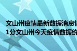 文山州疫情最新数据消息情况-(北京时间)截至5月6日15时31分文山州今天疫情数据统计通报