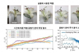 研究人员首次实时可视化花香