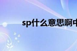 sp什么意思啊中文（sp什么意思）