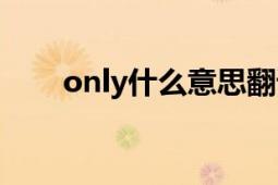 only什么意思翻译（only什么意思）