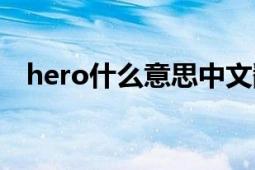 hero什么意思中文翻译（hero什么意思）