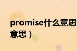 promise什么意思翻译中文（promise什么意思）