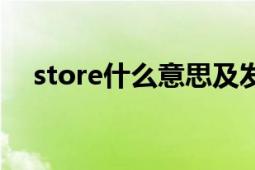 store什么意思及发音（store什么意思）