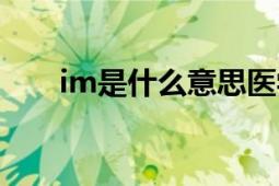 im是什么意思医学（im是什么意思）