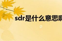 sdr是什么意思啊（sdr是什么意思）