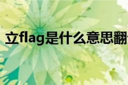 立flag是什么意思翻译（立flag是什么意思）