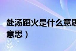 赴汤蹈火是什么意思六年级（赴汤蹈火是什么意思）