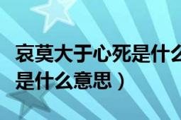 哀莫大于心死是什么样的感觉（哀莫大于心死是什么意思）