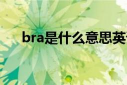 bra是什么意思英语（bra是什么意思）