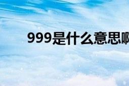 999是什么意思啊（999是什么意思）