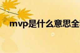 mvp是什么意思全称（mvp是什么意思）