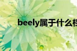 beely属于什么档次的牌子（beely）