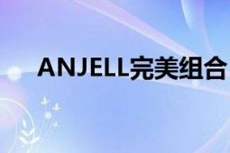 ANJELL完美组合（ANJELL完美组合）