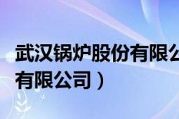 武汉锅炉股份有限公司的现状（武汉锅炉股份有限公司）