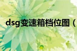 dsg变速箱档位图（DSG 直接换挡变速器）