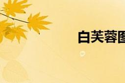 白芙蓉图（白芙泥）