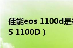 佳能eos 1100d是初学者的相机吗（佳能EOS 1100D）