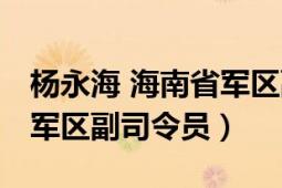 杨永海 海南省军区副司令员（杨永海 海南省军区副司令员）