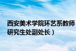 西安美术学院环艺系教师（周靓 西安美术学院环艺系教授、研究生处副处长）