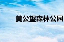 黄公望森林公园（黄公望森林公园）