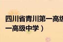 四川省青川第一高级中学代码（四川省青川第一高级中学）