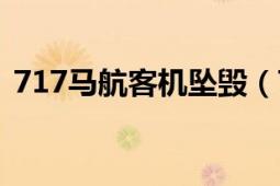 717马航客机坠毁（717马航客机坠毁事件）